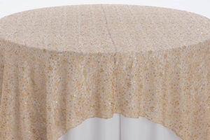 Champagne Chain Link Textured Sheer Overlay - Image 2