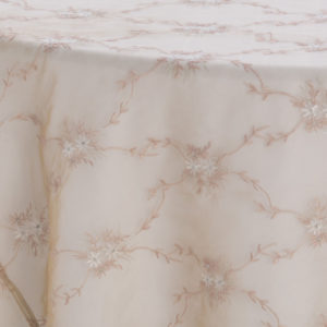 Champagne Embroidered Sheer Overlay - Image 3