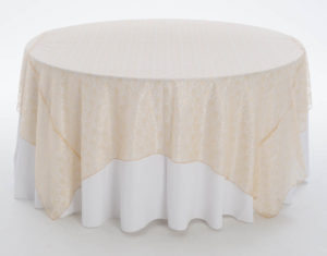 Champagne Garden Lace Overlay