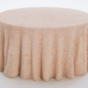 Champagne Wedding Bliss Textured Sheer Overlay