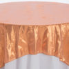 Copper Tissue Lame Overlay - Image 2