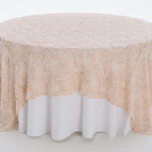 Enchanted Metallic Textured Sheer