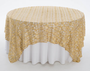 Gold Coin Textured Sheer Overlay