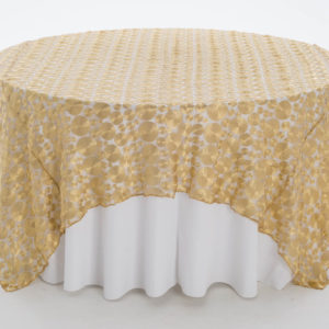 Gold Coin Textured Sheer Overlay