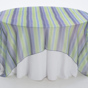 Kelly Royal Horizon Sheer Overlay