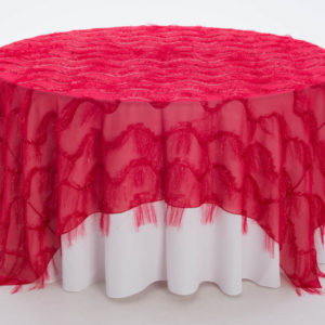 Lollipop Gatsby Textured Sheer Overlay