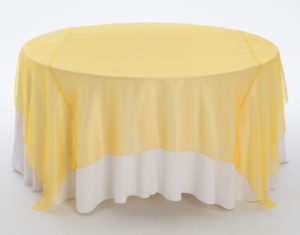 Gold Sunburst Organza