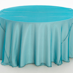 Teal Organza Overlay