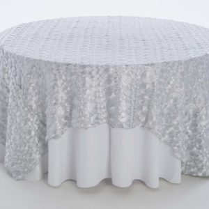 Silver Coin Textured Sheer Overlay