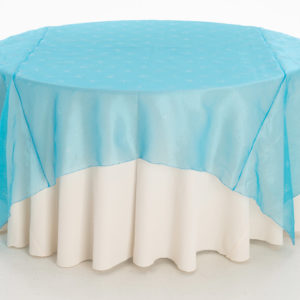 Turquoise Sheer Pixie Dust Overlay