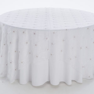 White Embroidered Sheer Overlay